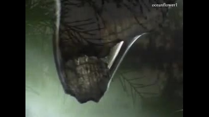 Sarah Brightman - Dust in the wind