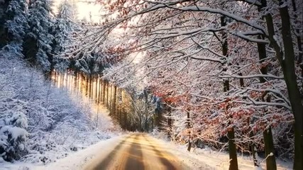 Winter Serenade