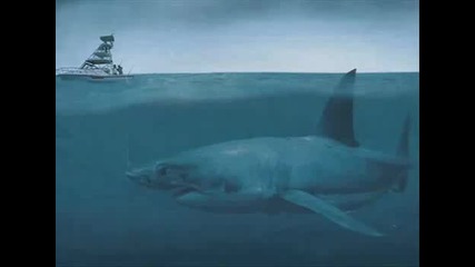 Най - големите и чудовищни акули на света