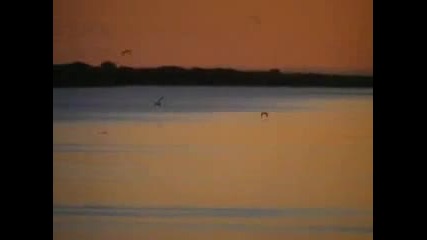 Kougioumtzis & Dalaras - Mi Mou Thimonis Matia Mou