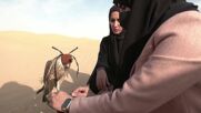 Какво е да си жена соколар в Абу Даби