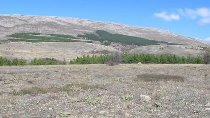 One small mountain