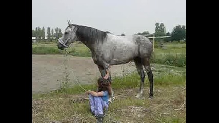 23.VI.2008 - Рени И Голд Мен
