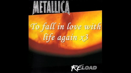 Metallica - Fixxxer lyrics & sub bg