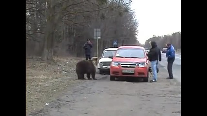 Мечо Е Гладен ! :d