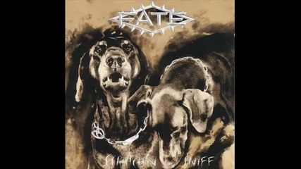Fate - Won_t Let You Down