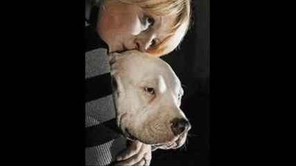 Michael Vick Is Guilty