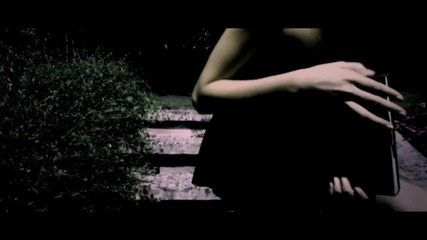 Moonbeam ft Avis Vox - We Are In Words( Official Video) 