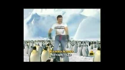 Калеко Алеко в Антарктида