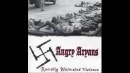Angry Aryans - Faggots