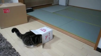 Кутията и Мару