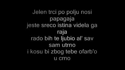 Dj Krmak & Reni - Papagaj (lyrics)