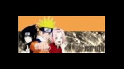 Team 7