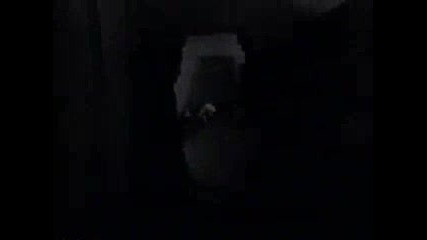Prodigy-no good