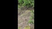Изливане на фекални води на плажа в Царево