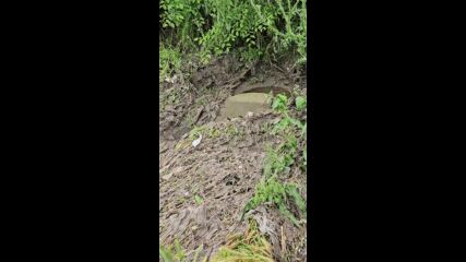 Изливане на фекални води на плажа в Царево