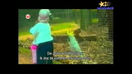 Една Голяма Доза Смях(2 Част)!