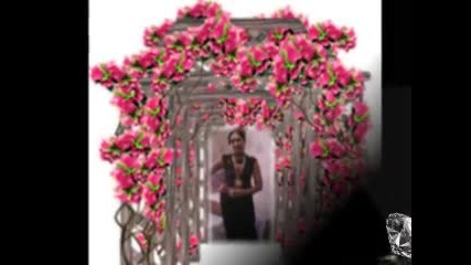 diler 2012