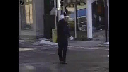 Весел Регулировчик