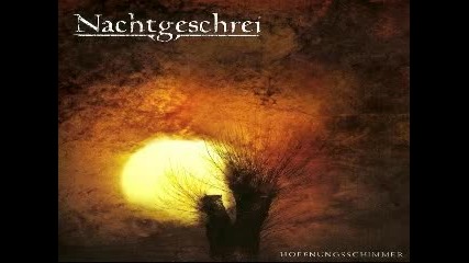 Nachtgeschrei - Wuetis