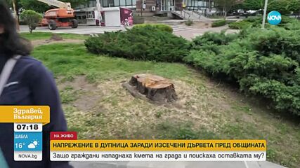 Протест в Дупница заради отсечени дървета пред сградата на общината