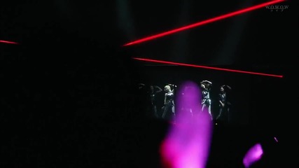 [hd] 130616 Snsd - Animal [03] @ Girls & Peace Japan 2nd Tour