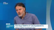 Какво е състоянието на река Дунав в момента