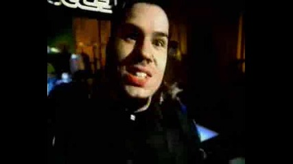 Static - X - Im With Stupid