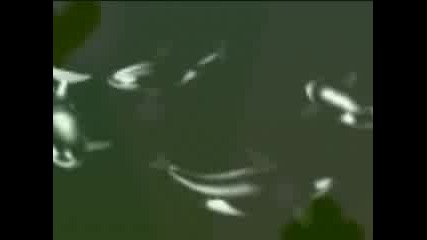 Atb - Waterfall