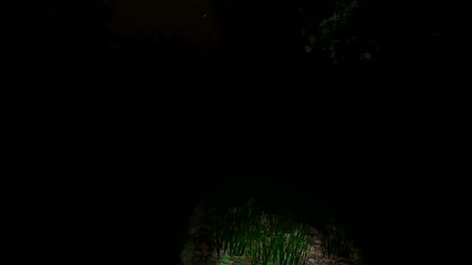 Slender original game 2