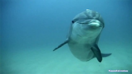 Frederic Delarue - A Message Of Love