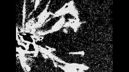 Dark Muse - Flow Wave