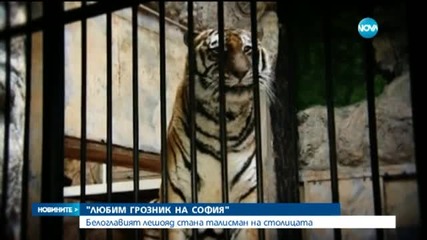 София избра любимия си грозник сред животните