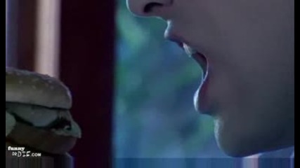 Twilight with Hamburgers