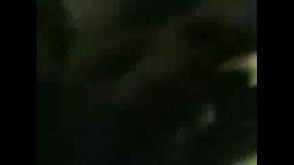 15122008.3gp