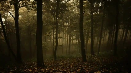 Dreams Living in Your Eyes Shine from Far Away [chill Out Mix]