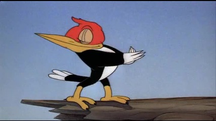 Donald Duck - Donalds Camera 