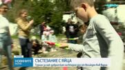 Във Варна се проведе турнир по борба с великденски яйца