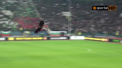 Орел летя гордо на стадион " Васил Левски "