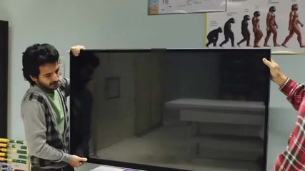 The Monkeys 3d Reunion 