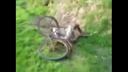 Мъртво пиян колездач