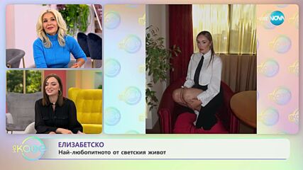 Най-интересното от светските новини с Елизабет Методиева - „На кафе” (18.09.2023)