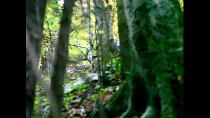 Standing Cliffside Autumn Scenery Wv Waterfalls 