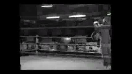 Smf Speed Kelly Kelly Vs. Britney Spears
