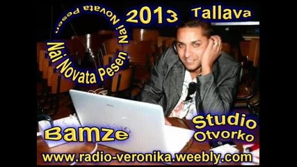 Bamze 2013 - Ale Ale & Davuli Org Tallava - Albansko - 2012 Dj Otvorko
