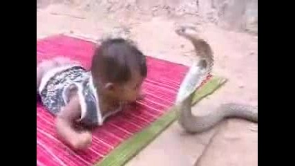dete si igrae s kobra