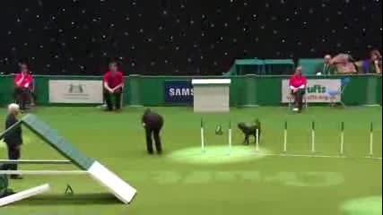 Накрая не издържа