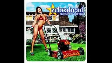 Zebrahead - The Hell That Is My Life