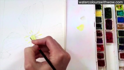 Как да нарисуваме тичинки на цвете с 3d ефект /урок от Anna Mason/