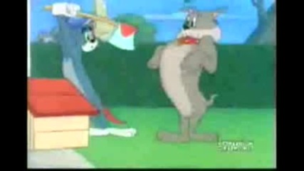 Tom And Jerry Parodiq 